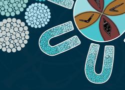 Bail and remand across Australia cover snapshot