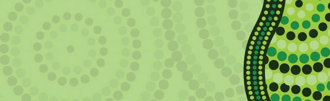 Indigenous Research Program image