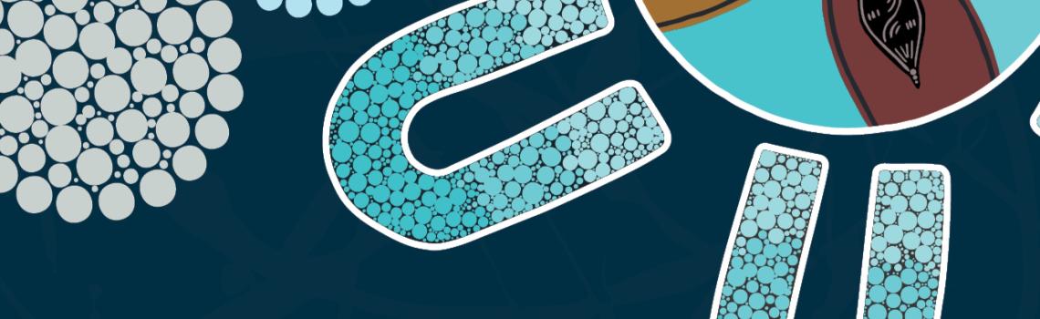 Bail and remand across Australia cover snapshot