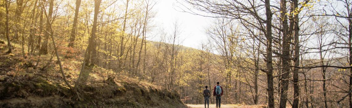Two people walking on dirt road in forest